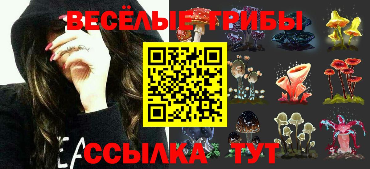 Тутаев  Галлюциногенные грибы Magic Shrooms  Вход с VPN 